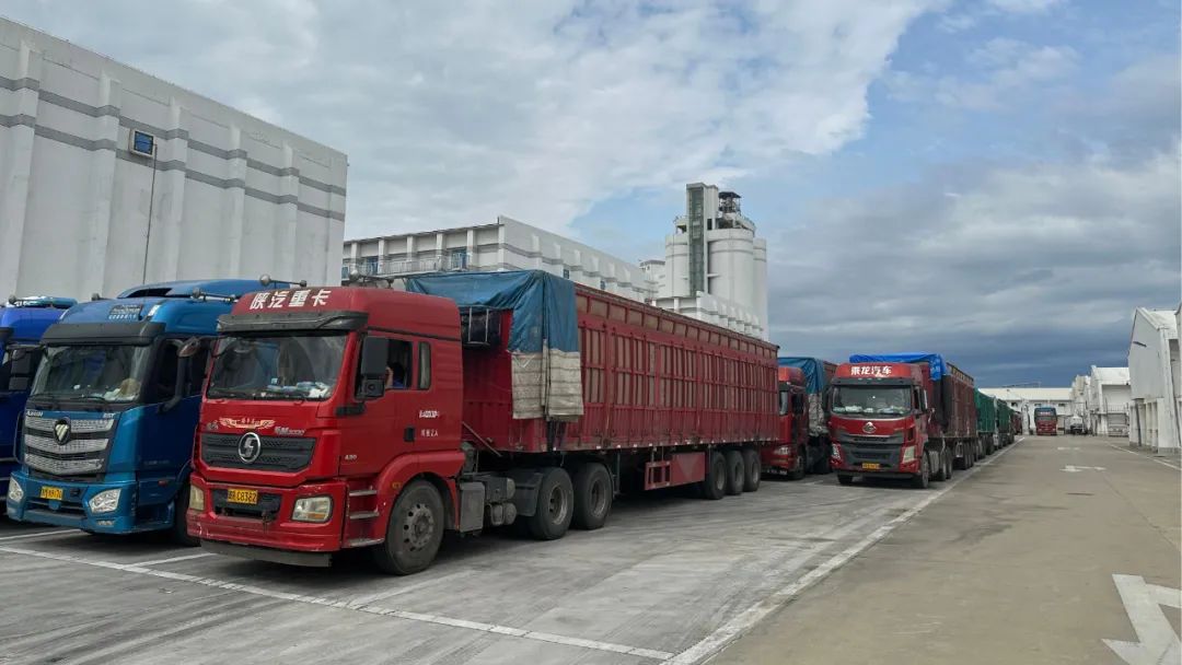 夏粮入库进入冲刺阶段 天津利达粮油公司一线员工头顶烈日 用汗水守护粮食安全