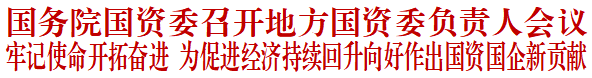 国务院国资委召开地方国资委负责人会议
