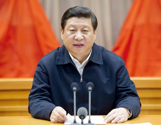 习近平：关于坚持和发展中国特色社会主义的几个问题