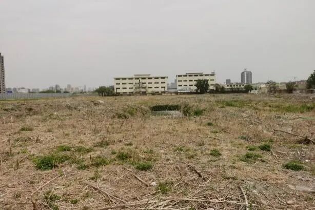 Դ足彩14场胜平负推荐һؿ̻